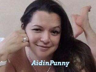 AidinPunny