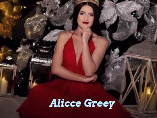 Alicce_Greey