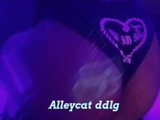 Alleycat_ddlg