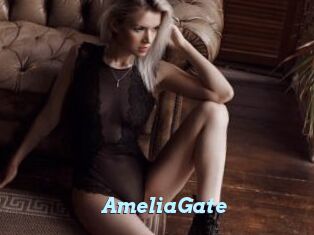 AmeliaGate