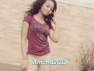 Amina2017