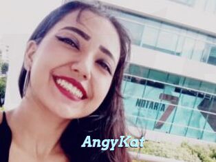 AngyKat
