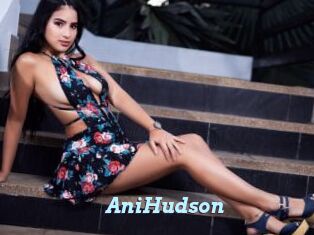 AniHudson