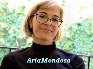 AriaMendosa