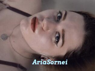 AriaSornei