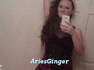 AriesGinger