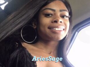 AriesSage
