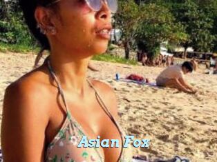 Asian_Fox