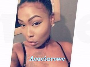 Acacia_rowe