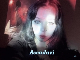 Accadavi