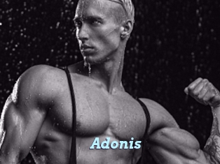 Adonis_