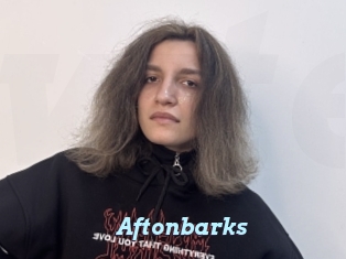 Aftonbarks