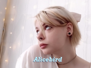 Alicebird