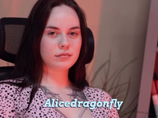 Alicedragonfly