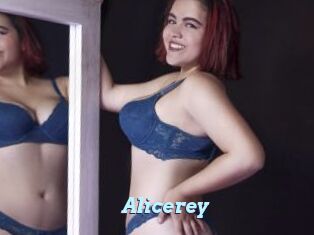 Alicerey
