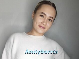 Amitybarris