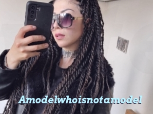 Amodelwhoisnotamodel