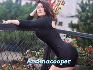 Andinacooper