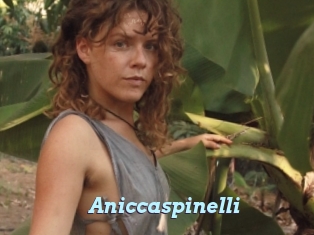 Aniccaspinelli