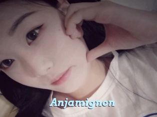 Anjamignon