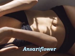 Ansariflower