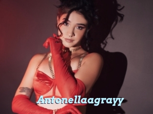 Antonellaagrayy