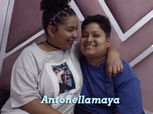 Antonellamaya