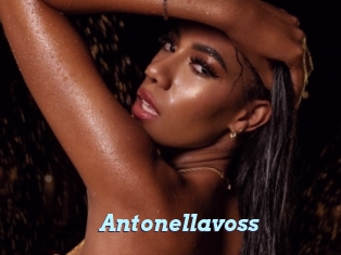 Antonellavoss