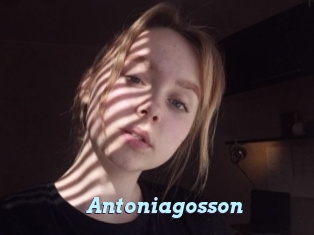 Antoniagosson