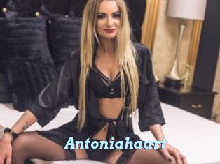 Antoniahaart