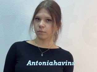 Antoniahavins