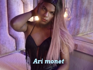 Ari_monet