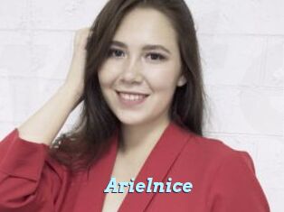 Arielnice
