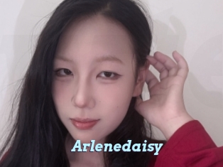 Arlenedaisy