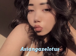 Asiangazelotus
