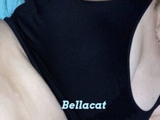 Bella_cat