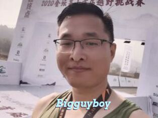 Bigguyboy