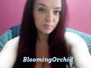 BloomingOrchid