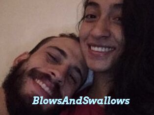 BlowsAndSwallows