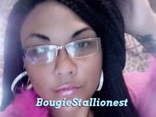 BougieStallionest