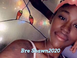 Bre_Shawn2020