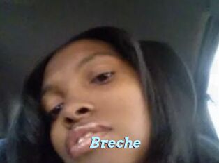 Breche