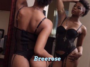 Breerose
