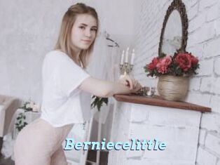Berniecelittle