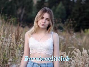 Berniecelittleb