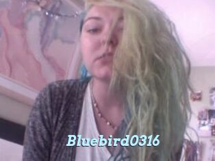 Bluebird0316
