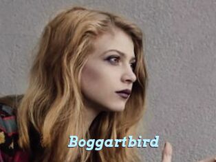 Boggartbird