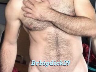 Brbigdick29