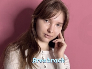 Breebrach