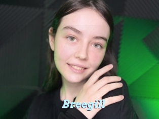 Breegill